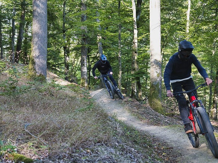 Zwei Radfahrer fahren über einen schmalen, kurvenreichen Pfad im Wald.